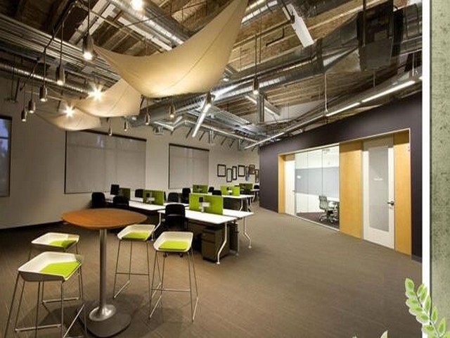 天津购买不锈钢转子泵